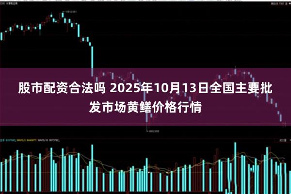 股市配资合法吗 2025年10月13日全国主要批发市场黄鳝价格行情
